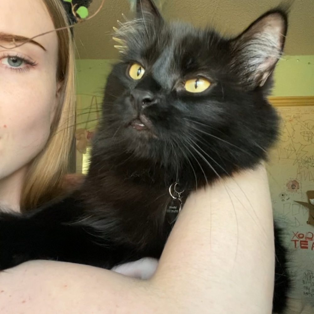 Meet your Posher, Sophie
